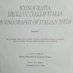 LITHOGRAPHIES DE UMBERTO CATALANO  2